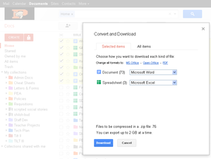 Screen shot of Google Download Options